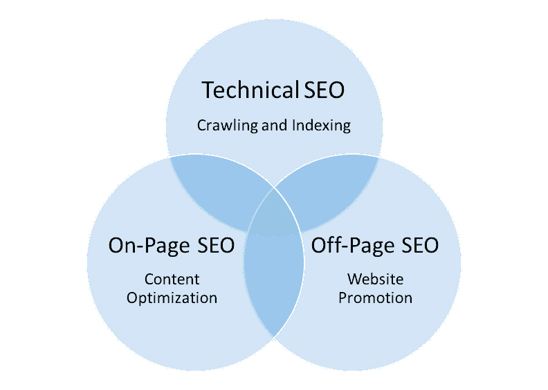 سئو تکنیکال و شاخه های سئو